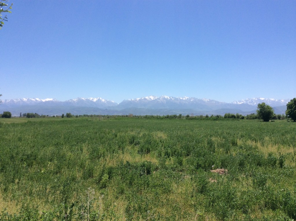 Chui Kyrgyzstan, Living in kyrgyzstan