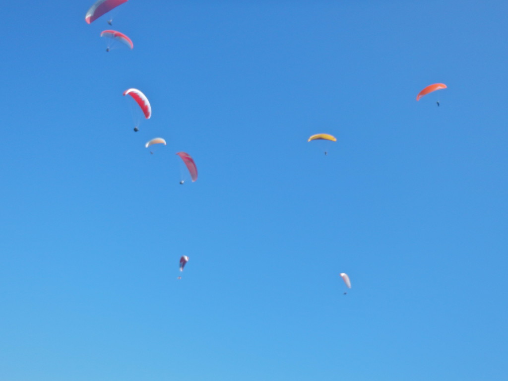 Paragliding in Pokhara, Nepal best things to do in nepal adrenaline sports in nepal where to paraglide in nepal best experiences in pokhara what is the best place in nepal