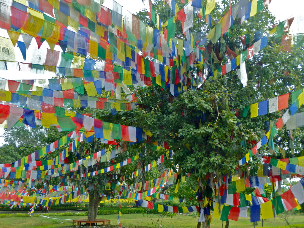 a day trip to Lumbini, birthplace of buddha lumbini travel blog where to visit in nepal