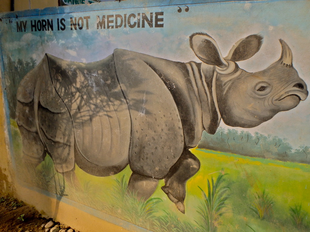chitwan national park jungle in nepal travel blog top places to visit in nepal for travellers