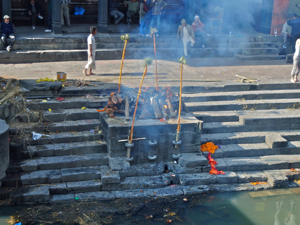 Riverside Gnat, Pashupathinath, Kathmandu, Nepal places to visit in nepal best sights near kathmandu city where to visit in the kathmandu valley