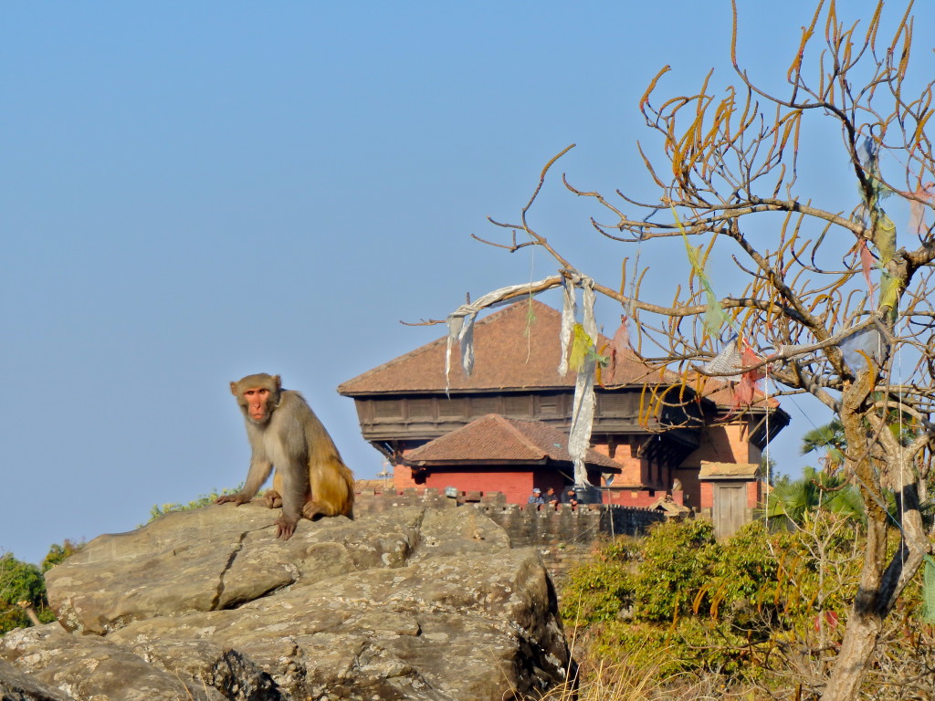 a night in Gorkha, Nepal places to visit near kathmandu towns to visit between pokhara and kathmandu where to visit in nepal