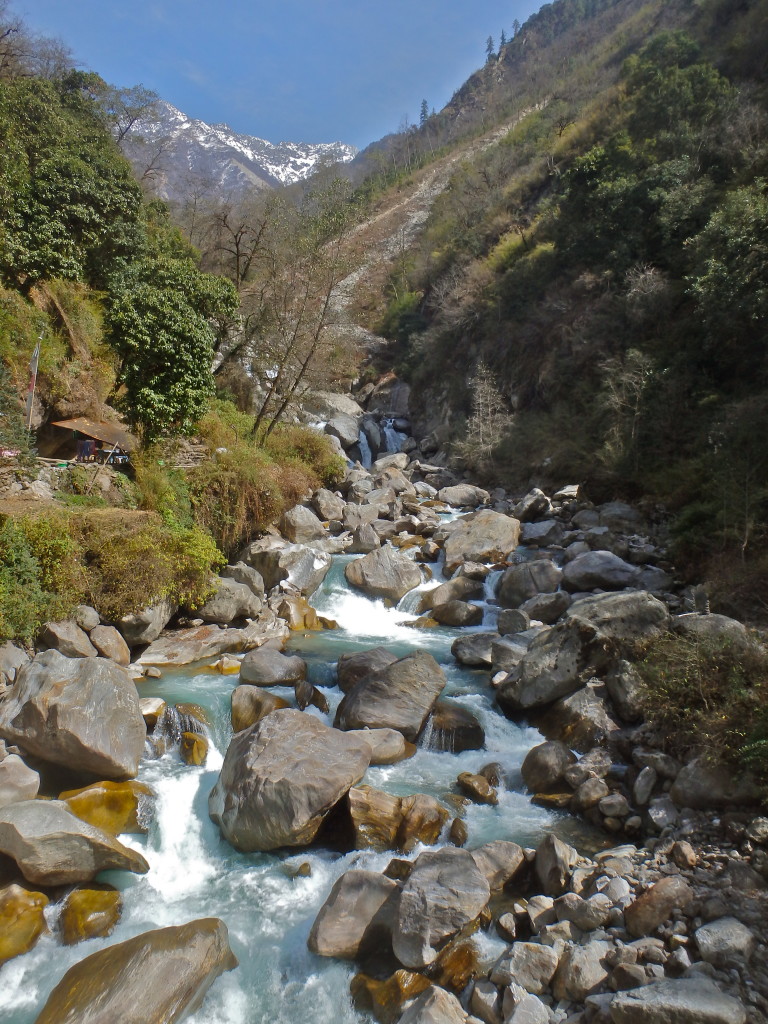 Langtang Valley Trek, Nepal trekking travle blog how to trek in nepal Are there beginner treks in nepal?