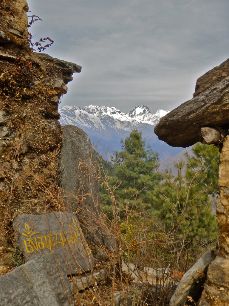 Best hikes in nepal for solo women where to hike in nepal in 4 days hikes near kathmandu nepal Langtang Valley Trek, Nepal