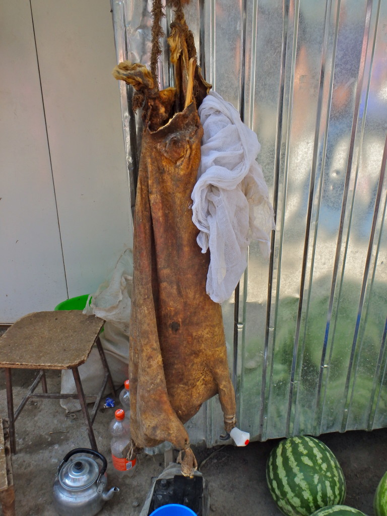 dead goat, Kyrgyzstan culture