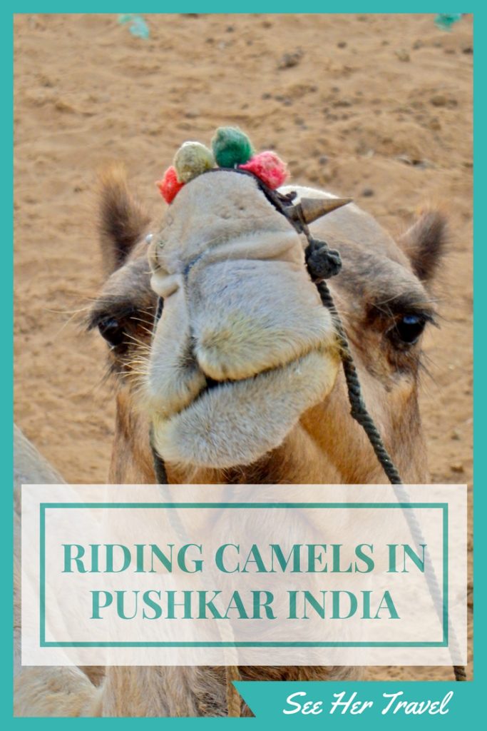 Riding a camel into the desert of India is unforgettable, for many reasons. Check out this blog about my 'desert' safari out of Pushkar India on a camel named Romeo www.seehertravel.com