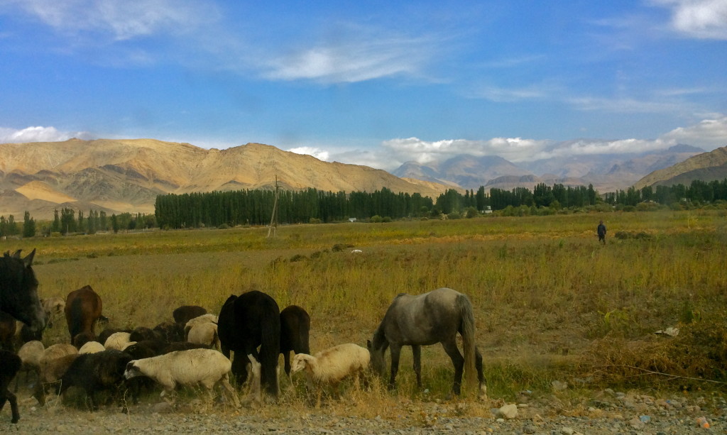 Talas wildlife and scenery...Kyrgyzstan