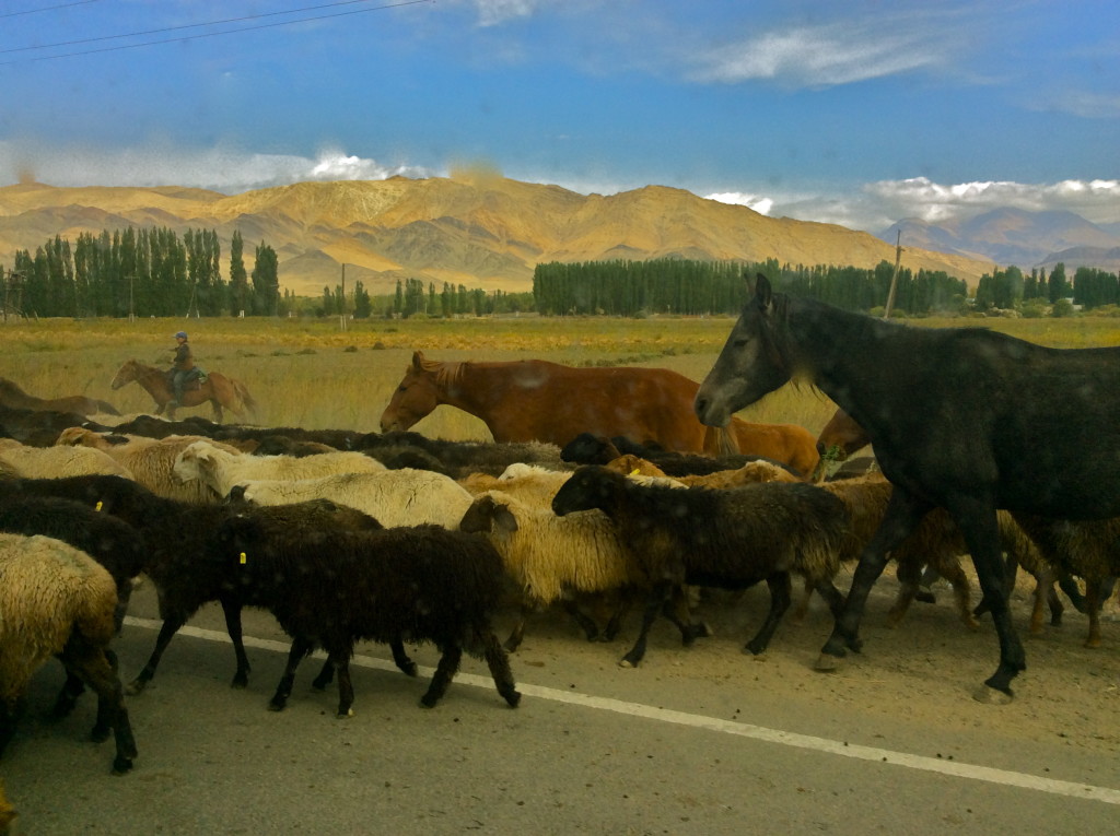 Travelling to Talas Kyrgyzstan