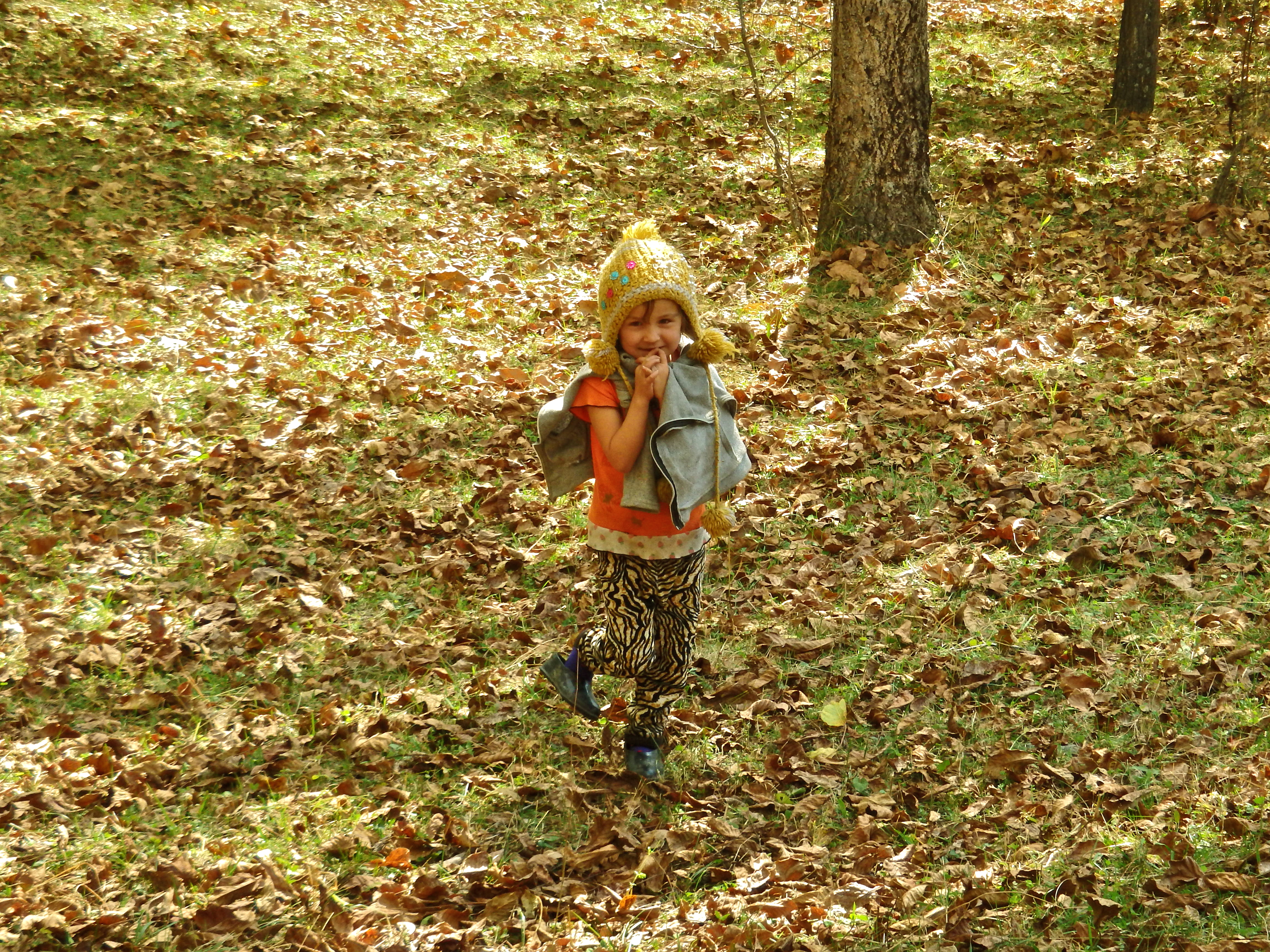 walnut collecting in arslanbob kyrgyzstan