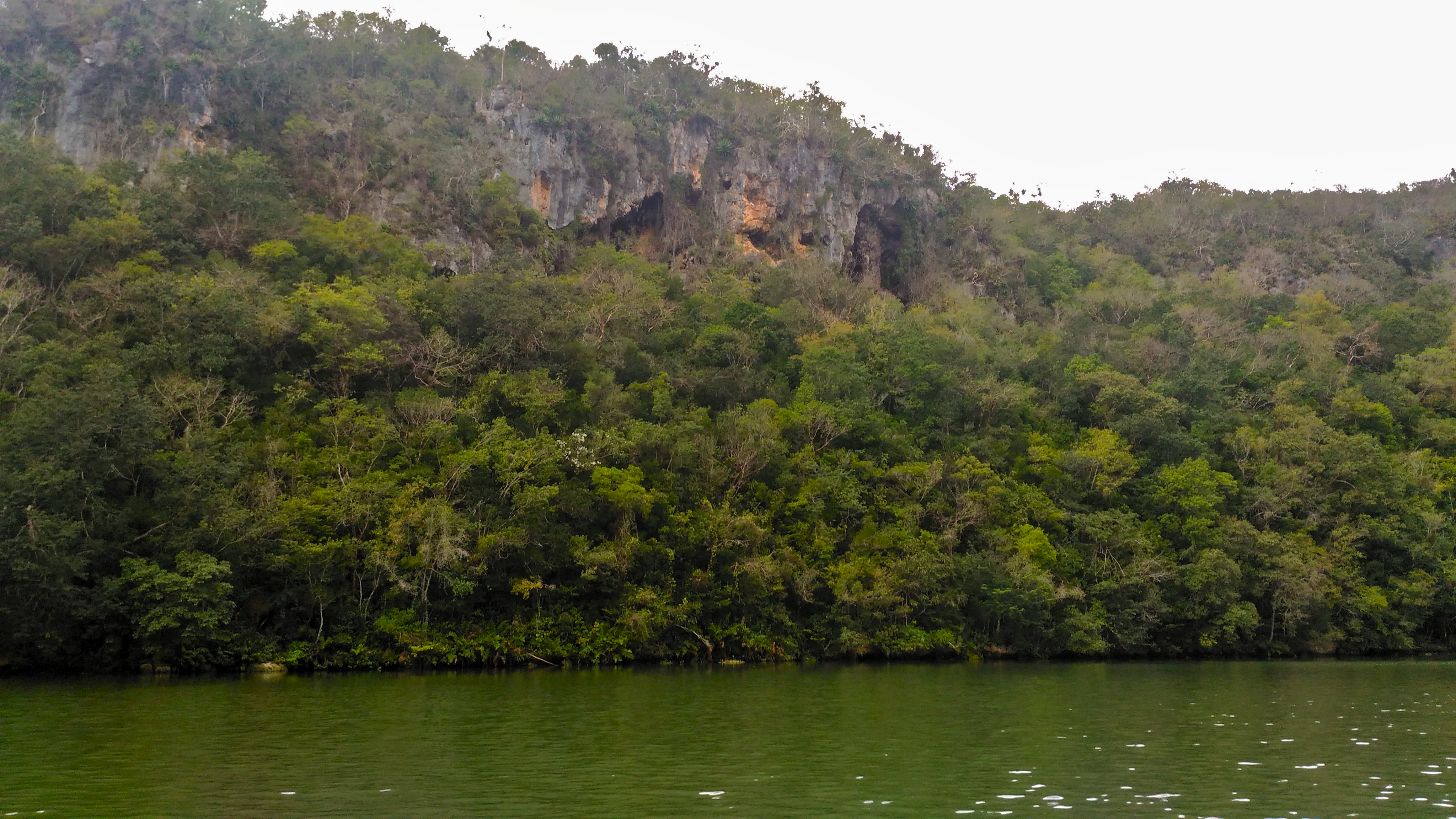 Rio Canimar