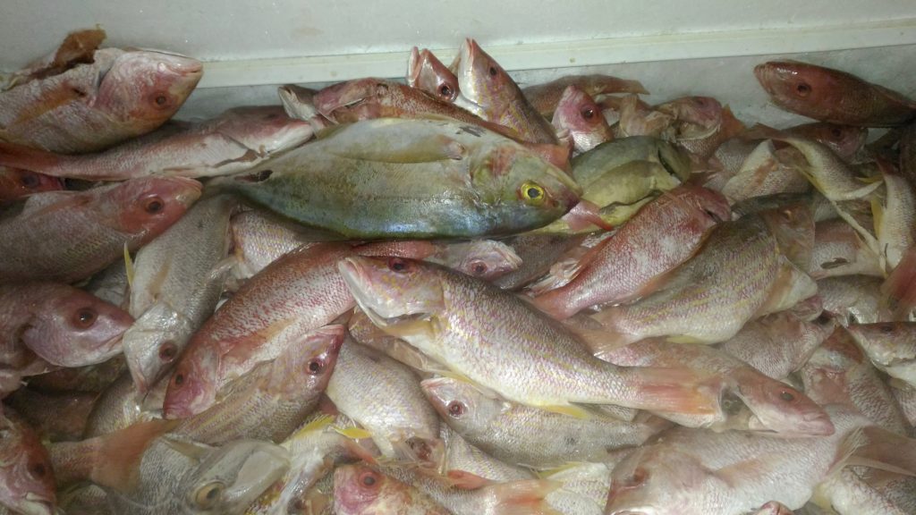 Best Seafood restaurant in Jamaica- Little Ochie!