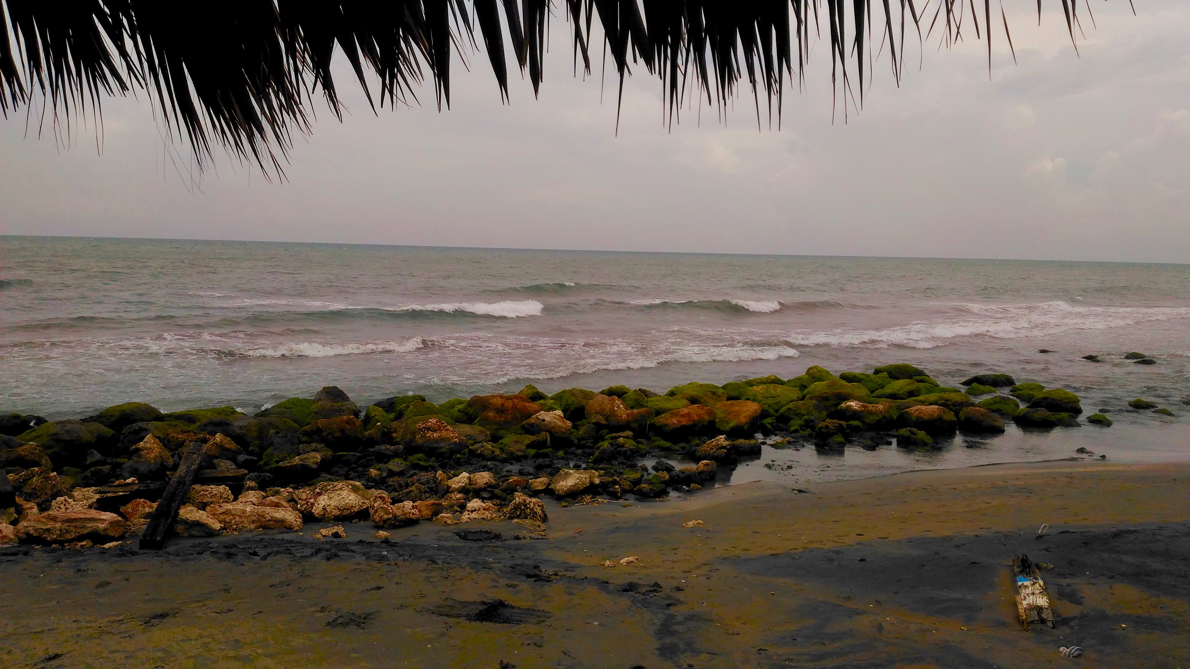 Best Seafood restaurant in Jamaica- Little Ochie!