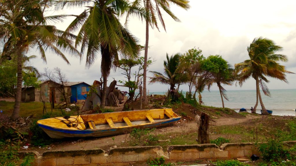 Best Seafood restaurant in Jamaica- Little Ochie!