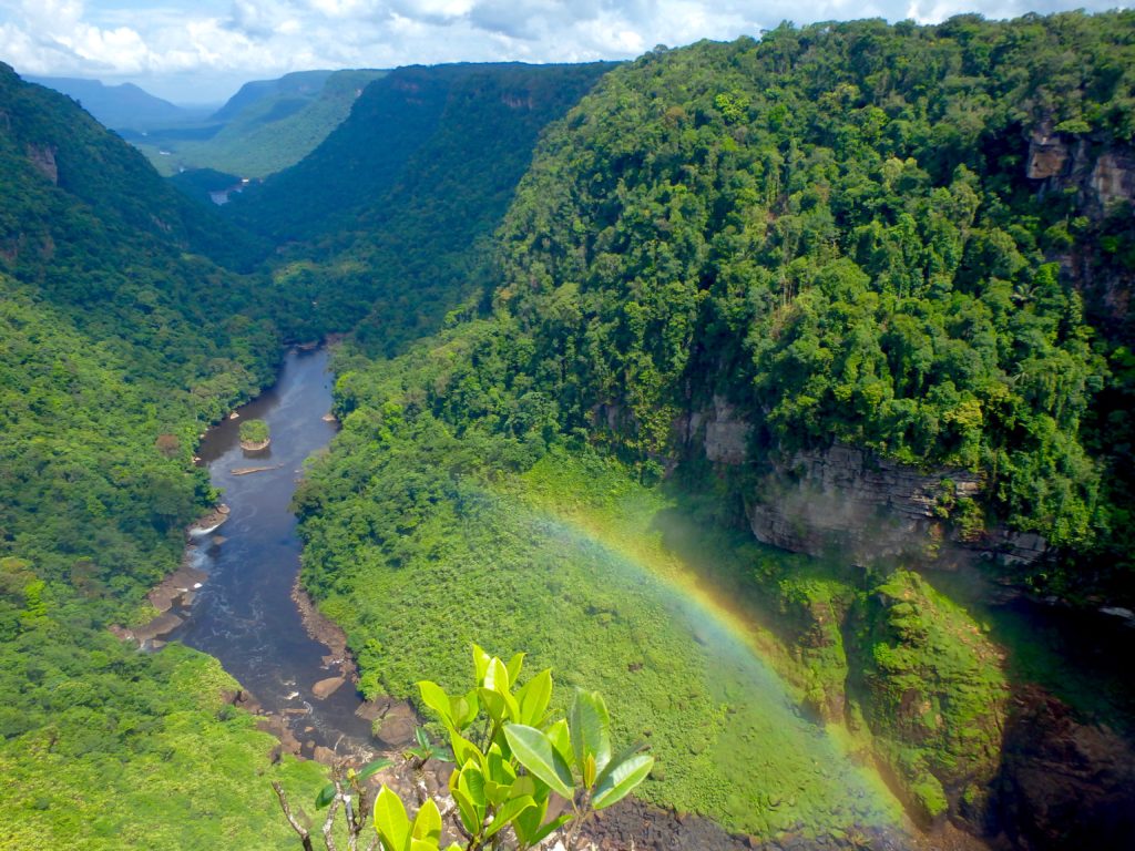 kaieteur falls tour 