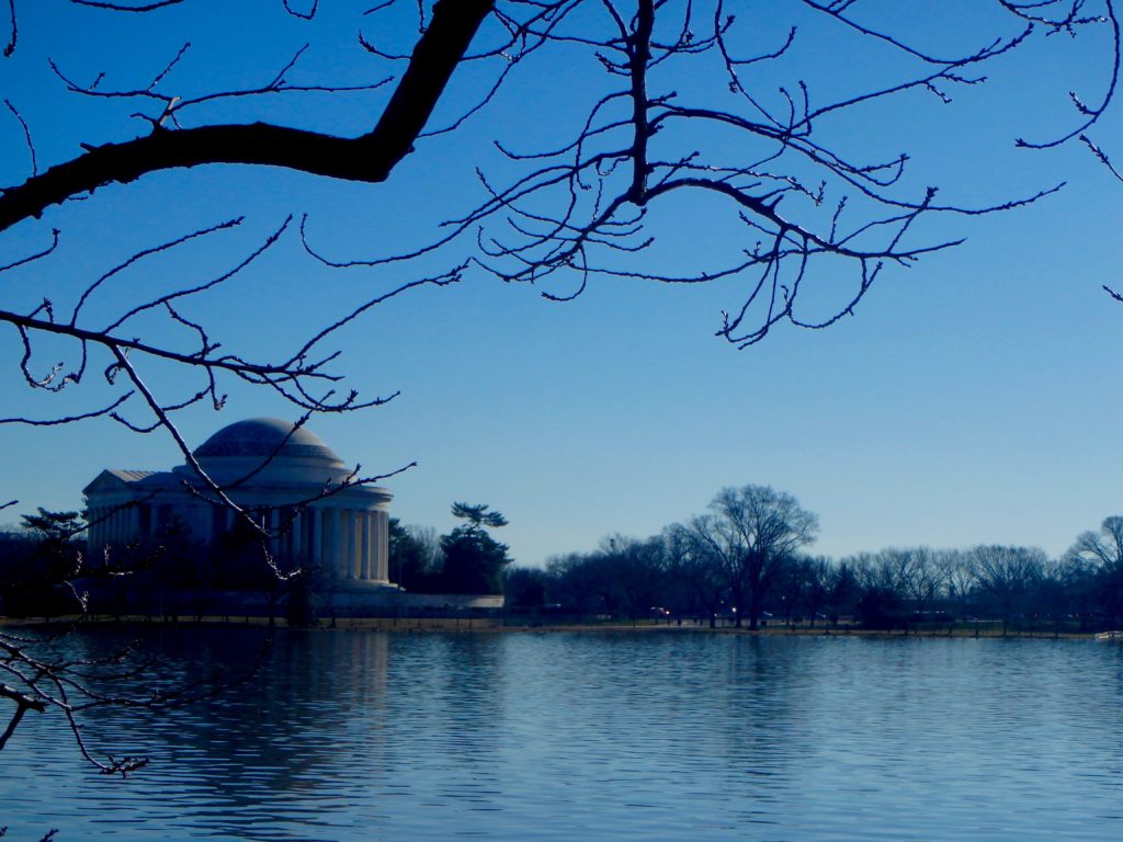 jefferson memorial in washington DC on the tidal basin