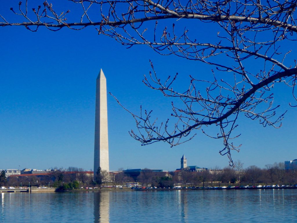 washington monument in DC