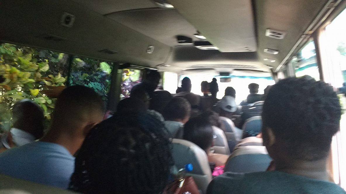 public transportation in jamaica tourist destination guide