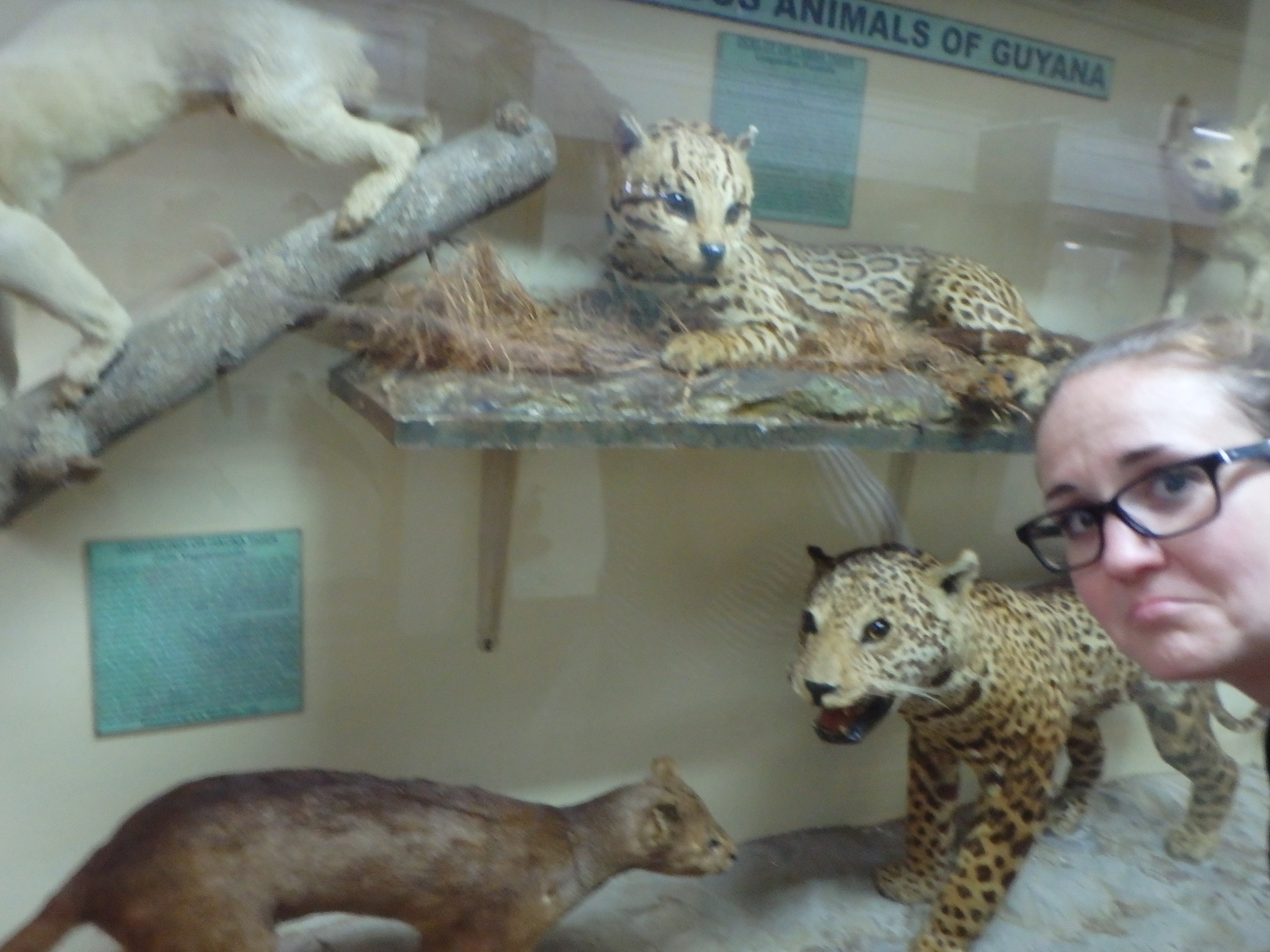 The Guyana National Museum Georgetown tourist attractions